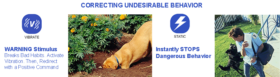 Correcting dog behavior with vibration and static stimulus