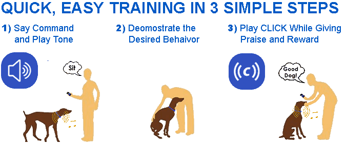 Remote Dog Training using Stimulus, Tone and Click system